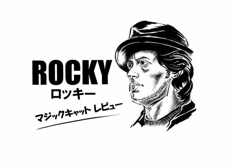 映画好きなら観ておきたい おすすめ名画 ロッキー バニとkouの映画と本のブログ 映画好きなら観ておきたい おすすめ名画 ロッキー バニとkouの映画と本のブログ